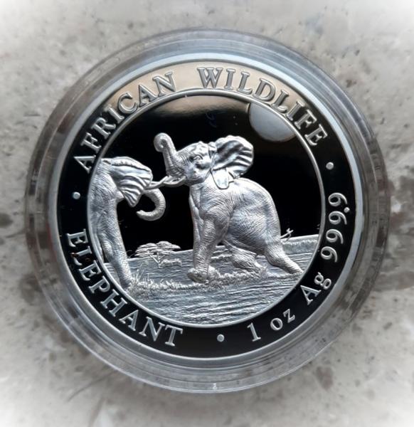 Somalia Elefant 100 Shilling 1 Unze Silber High Relief 2024 PP
